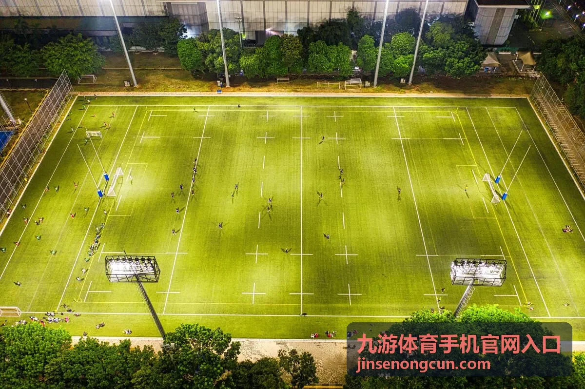 九游体育手机官网入口浏览器设置说明配图